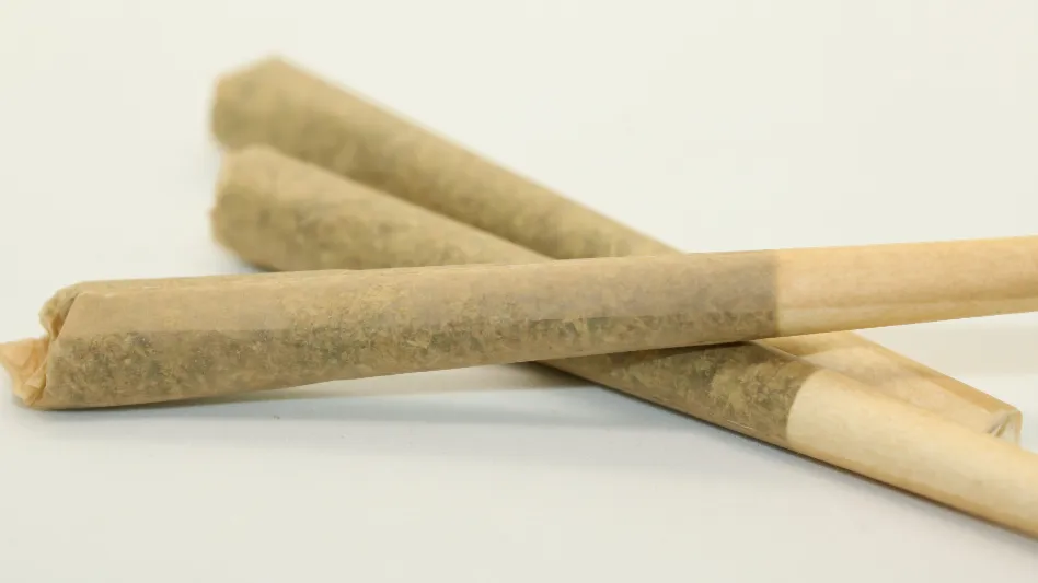 Exploring the Therapeutic Potential of THC Pre-Rolls for Pain Management and Inflammation