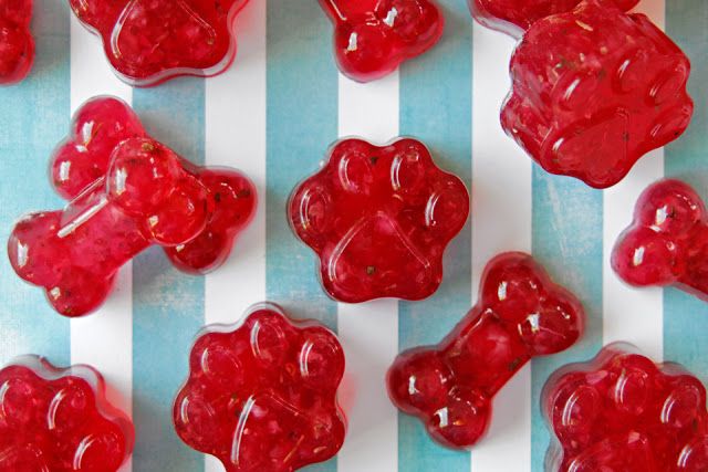 The Perfect Treat: Why HHC Gummies Are the Ultimate Wellness Companion